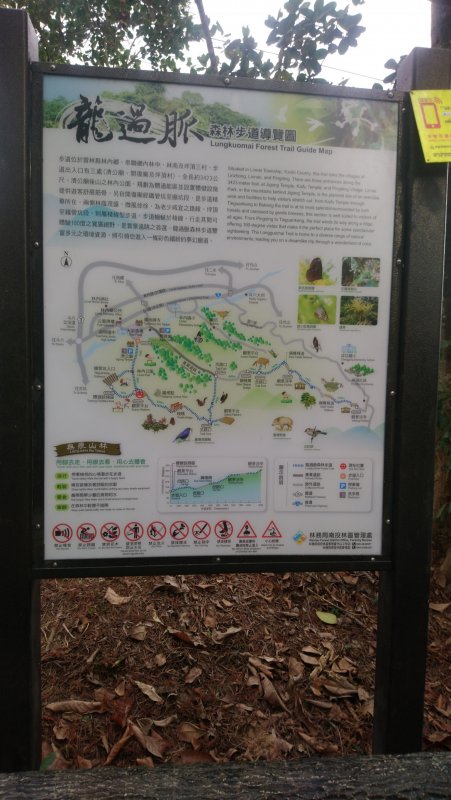 龍過脈森林步道