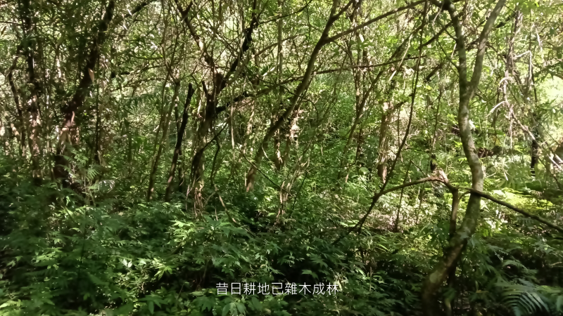 bfaa3358bbaff73b3bfa0276608e8350.png