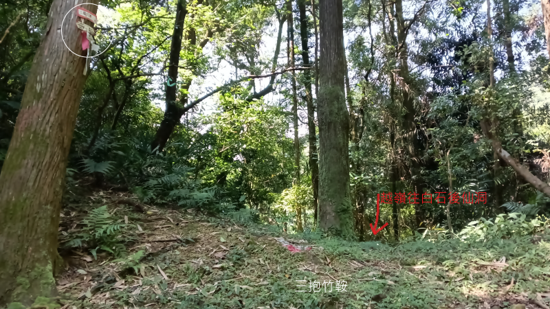 bfc4ace12e90aeb41143c145f7d34f39.png