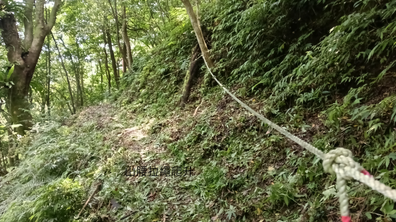 bfe9fd3d66ebfd084edf5940a0664265.png