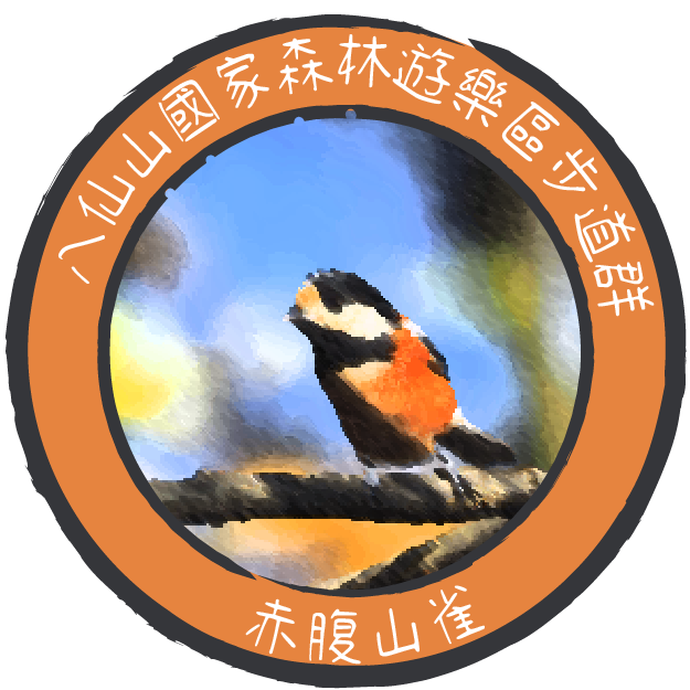 c02ae10919465a47081452a39845320f.png