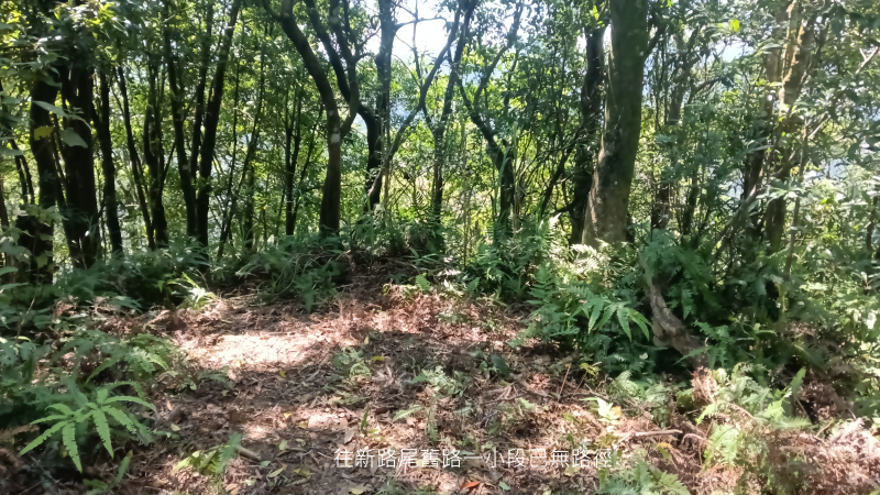 c0482d424ba3078ed7dfb9f226cb7a83.png