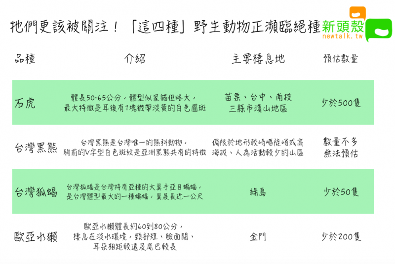 牠們更該被關注！「這四種」野生動物正瀕臨絕種   圖：新頭殼/製表