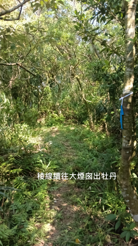 c05efe9e1131bde57d76cb4825758dce.png