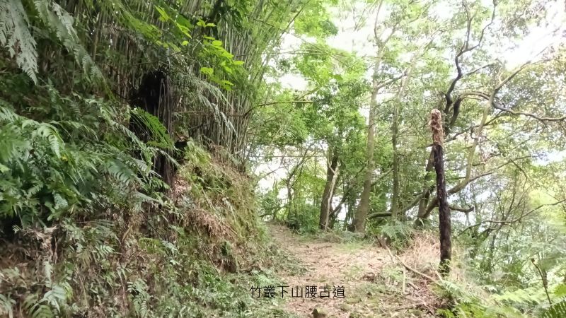 c10f4647bac5bcd5420b5c56588ebf7d.png