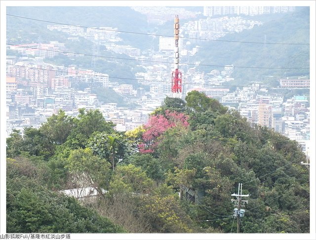 紅淡山步道 (83).JPG - 紅淡山步道