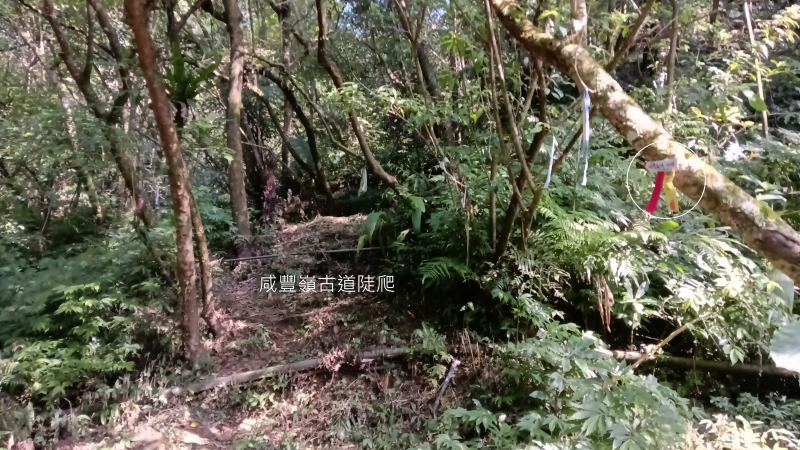 c133d9f63572d3285d521ab001d97c97.png