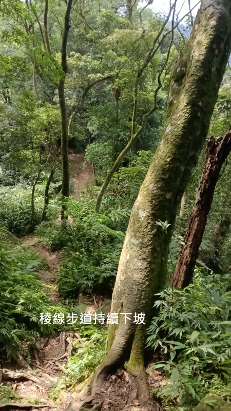 c195348e75eb954281840c99816901c9.png