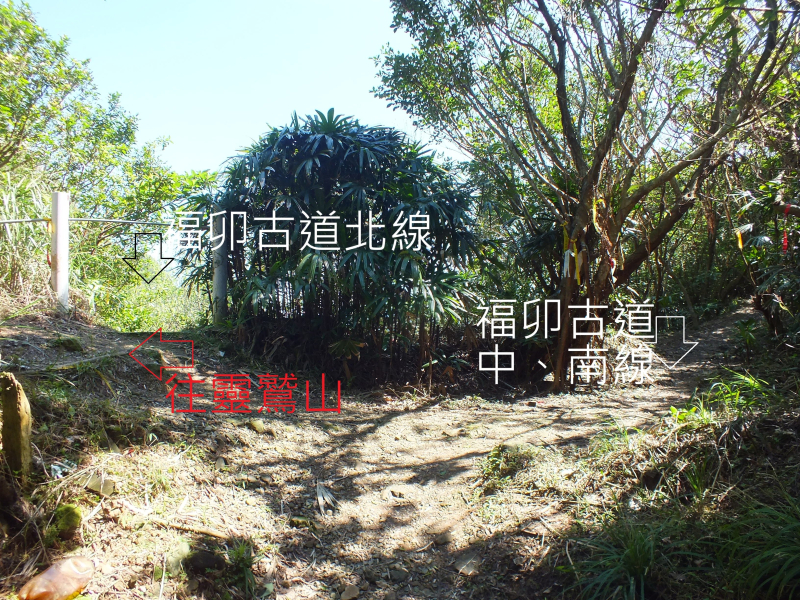 c1ef1df4527aff34efee6d8ad92cbb58.jpg