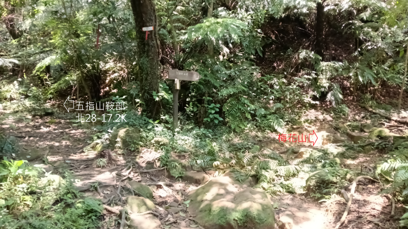 c1efabbbd5de3e86f6ec3b354de97da6.png