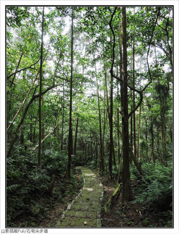 石筍尖步道 (47).jpg - 石筍尖步道