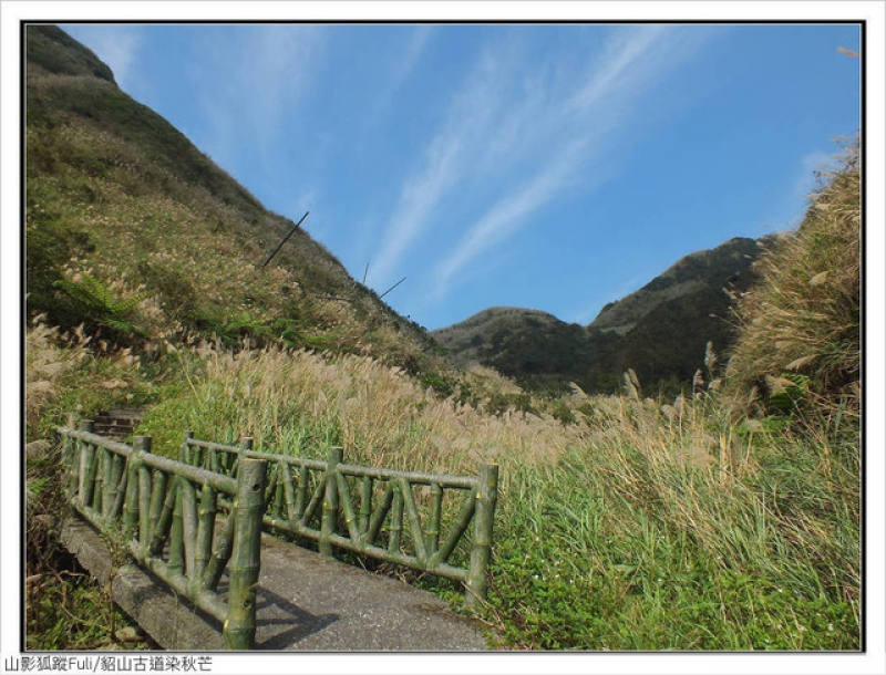 貂山古道 (26).jpg - 貂山古道