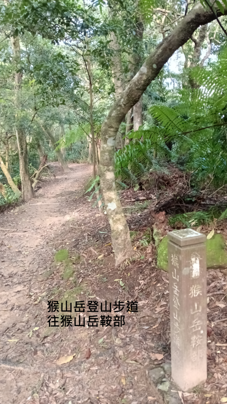 c23a9c841e421351f4e25122693ebbb6.png
