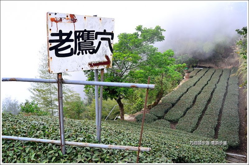 九芎頭雲頂步道