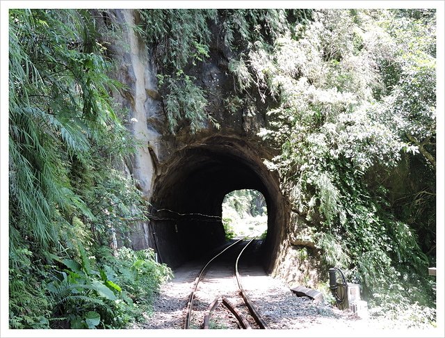 幼坑越嶺古道 (127).JPG - 幼坑越嶺古道