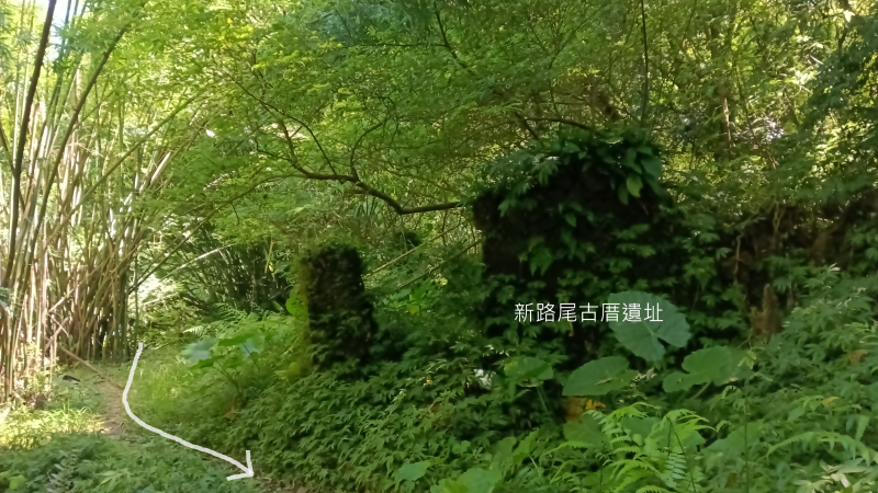 c2951e19d46a2b28cb0207722b83125a.png