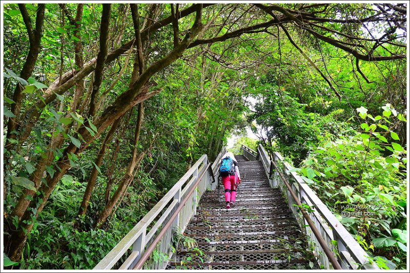 雙龍吊橋天時棧道 (17).JPG