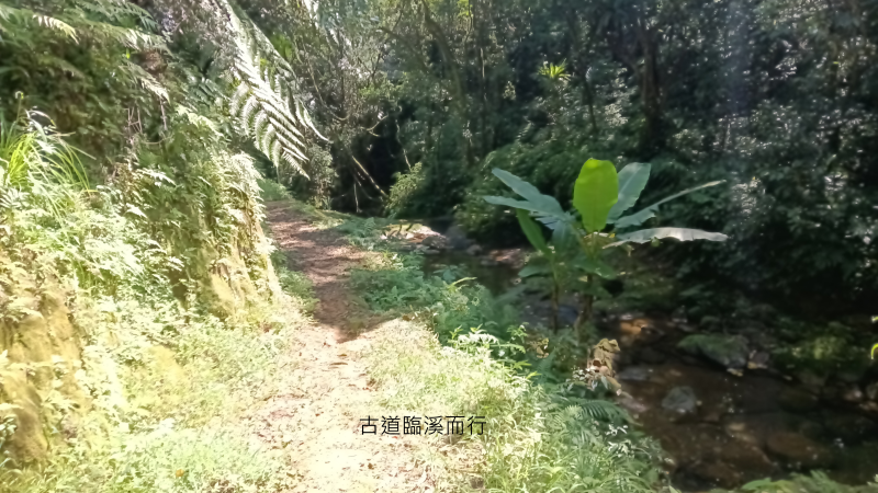 c3183b57936cc5b5ca12103e792cd22f.png
