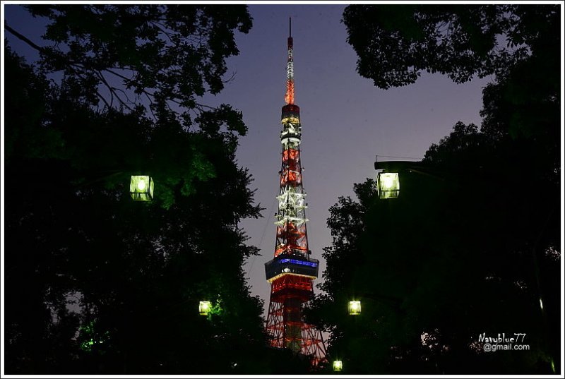 東京鐵塔 (3).JPG