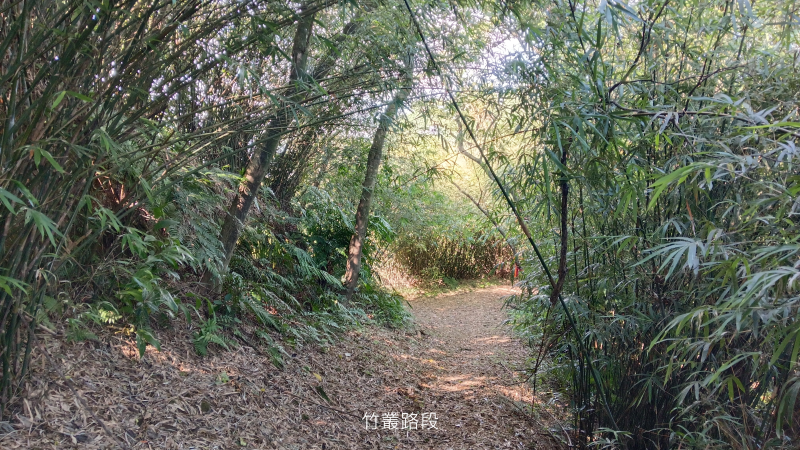 c3633cf49ffbc030aee1d7a67cc00ad6.png