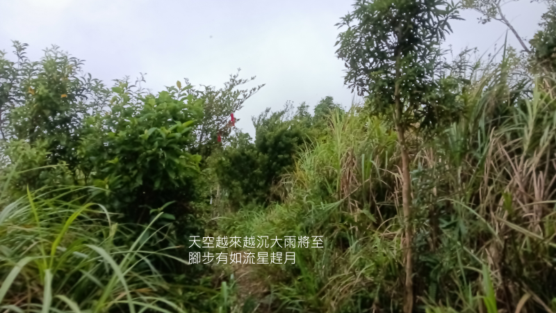 c39916f07c1d92f69a7ea66918e2b266.png
