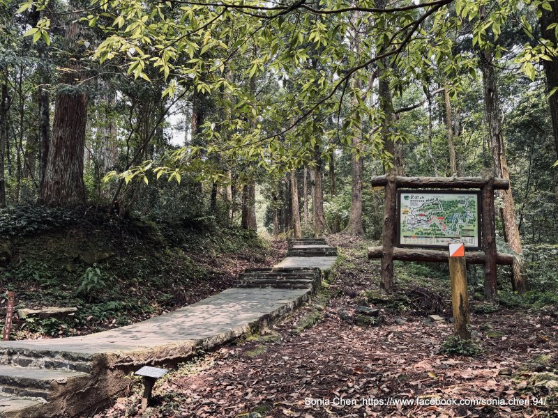 c3ec9621a4a417341731c2b3f5858aa9.jpg