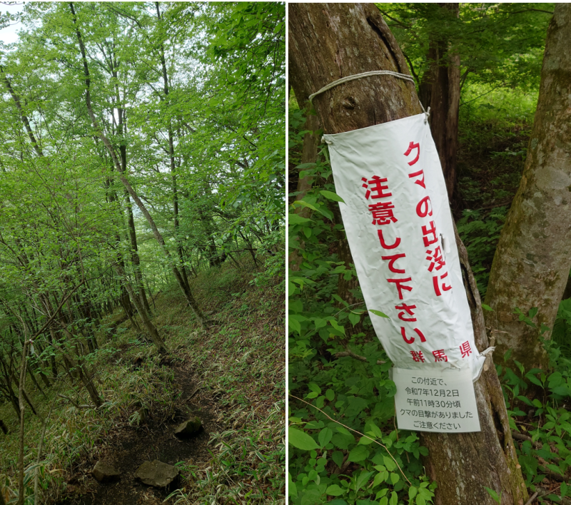 c442f93b8e4538ea838a13dfa9b1571a.png