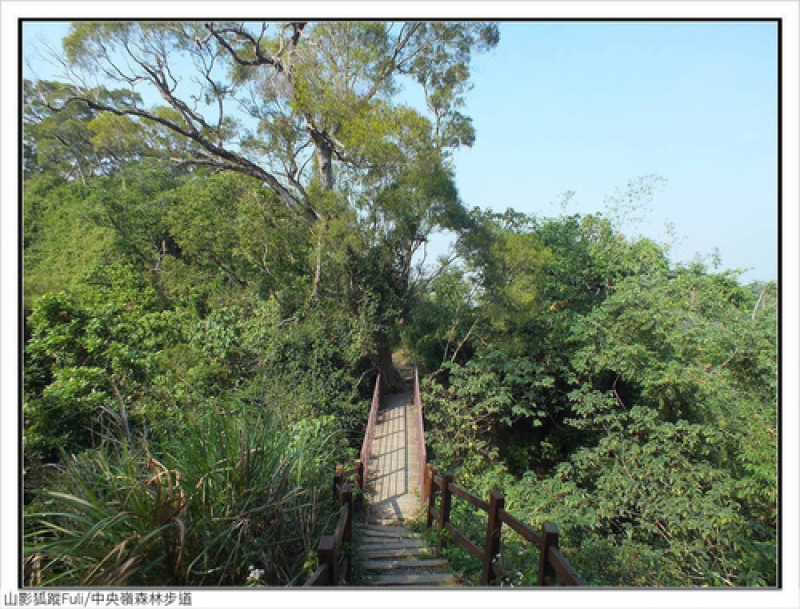 中央嶺森林步道 (46).jpg - 中央嶺森林步道