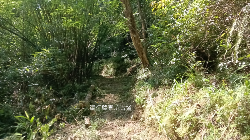 c48ef08dfbac22d1c8c62a47db538850.png