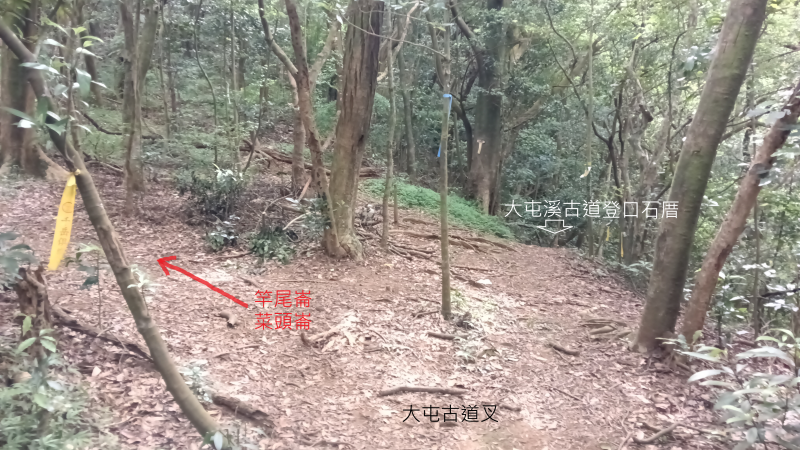c49dd3385eda7f9819cd7330c7ade427.png