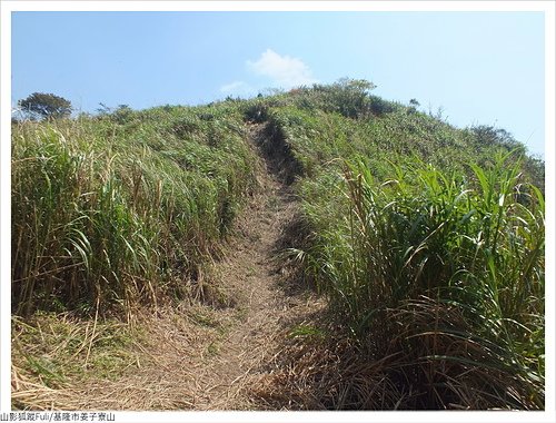 姜子寮山 (41).JPG - 姜子寮山