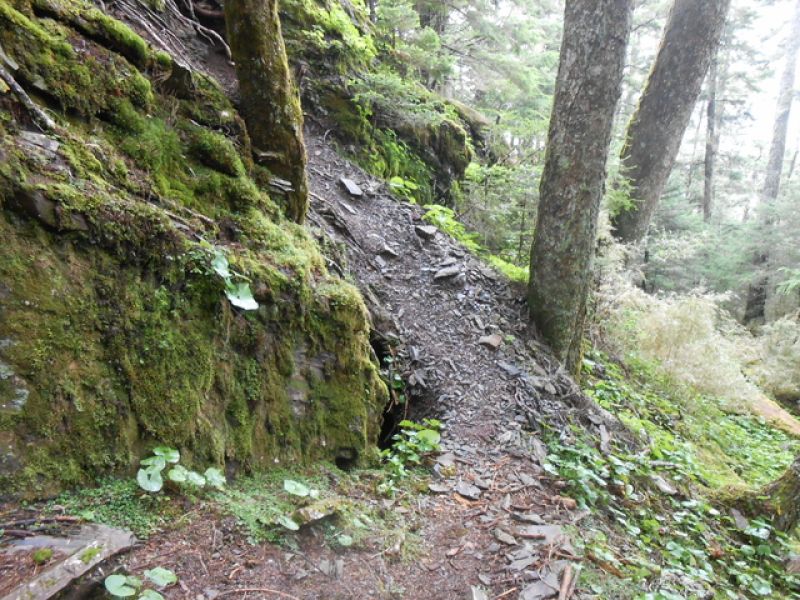 DSCN4716.JPG - 台中和平武陵四秀之二秀(DAY-2 桃山、詩崙山、喀拉業山)