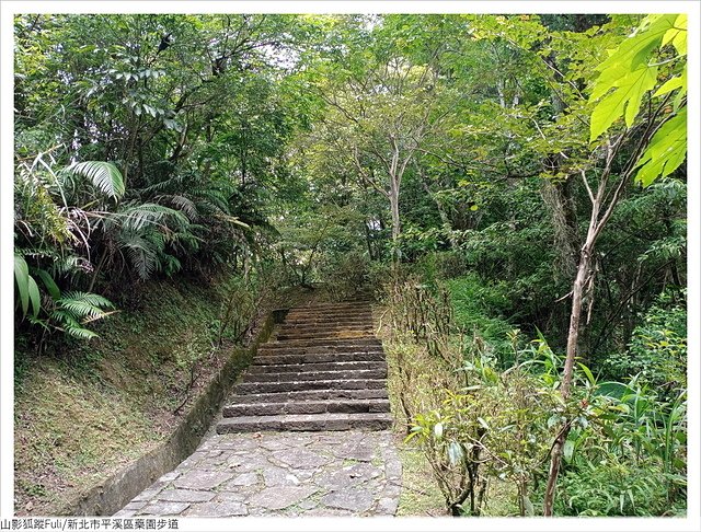 藥園步道 (43).jpg - 藥園步道