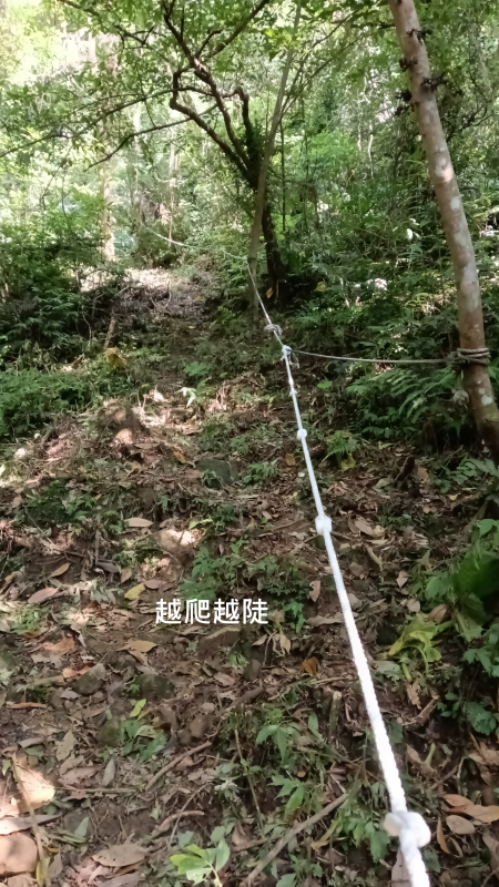 c553a04958aebf52b8cfa55d65c91e53.png
