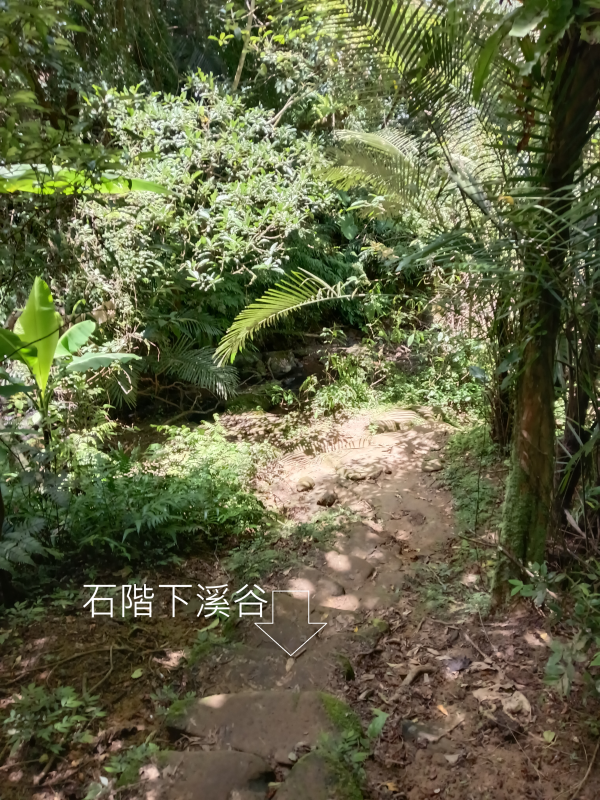c5621113dbfc58c22a063264e5b67ef0.png