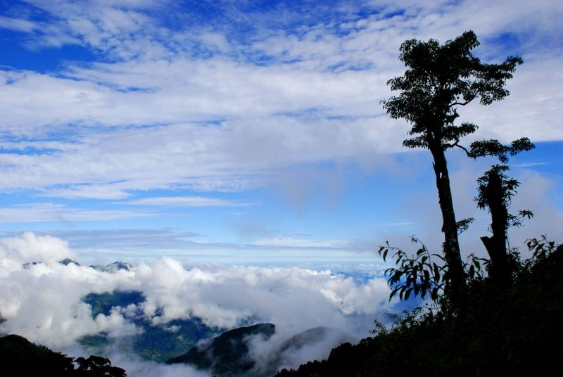 【聖山之路：第二段】鹿林山登山口⮕塔塔加鞍部登山口