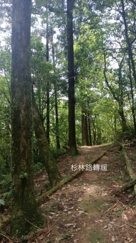 c5e42f0a992a85fc3ad893897dc7b103.png