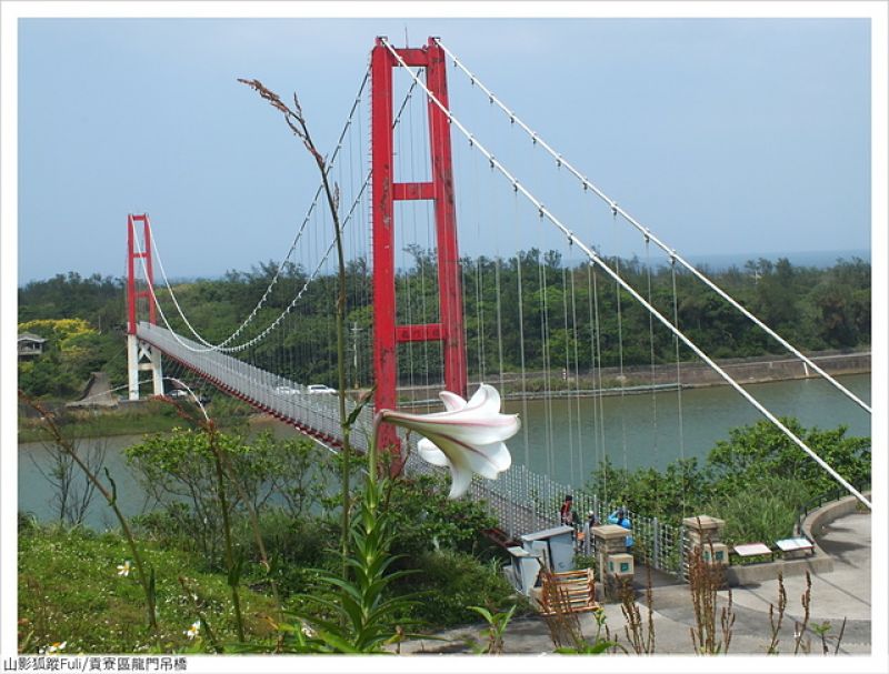 龍門吊橋 (32).JPG - 龍門吊橋百合花