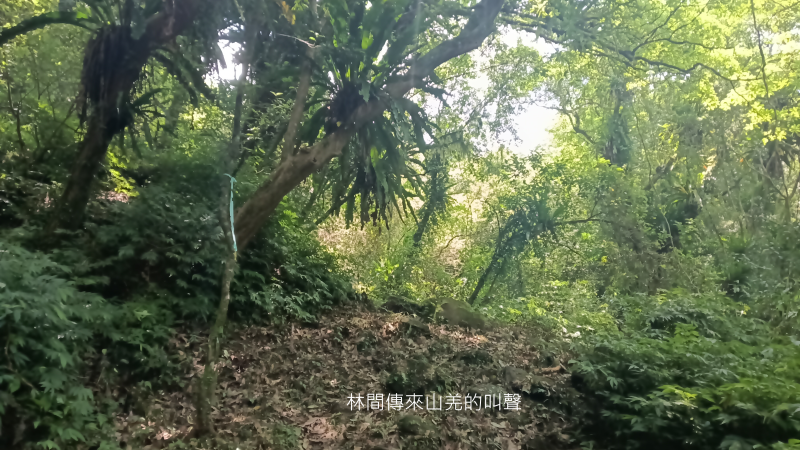 c6307d32ac1ead6e20434885eeb31370.png