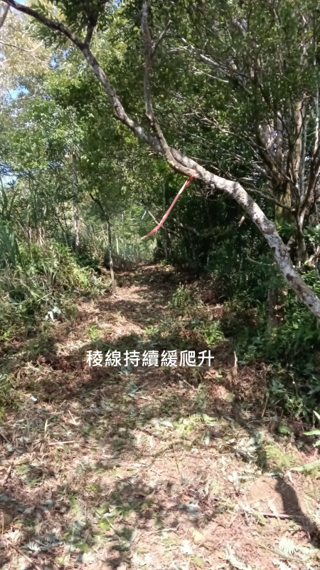 c64d11fcb08b407a17b289da27337b8a.png