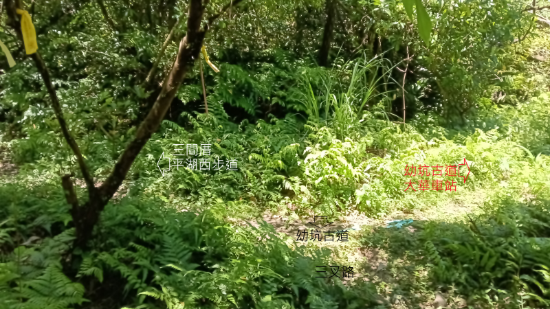 c6d4dcc6f6a7bb81ca4a55493ea00c01.png