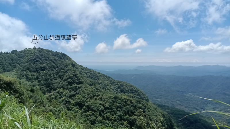 c6f4017d9be76fd61a08aaf25455d214.png
