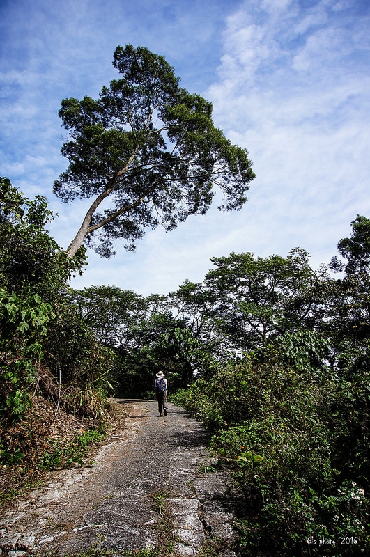 上南真我山產道