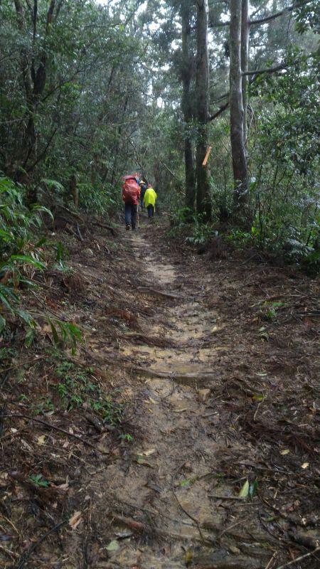 枋山坑古道