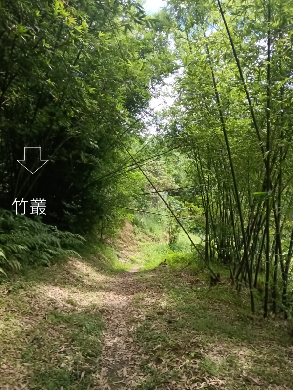 c78d864136ac1f50ecd279e498193758.png