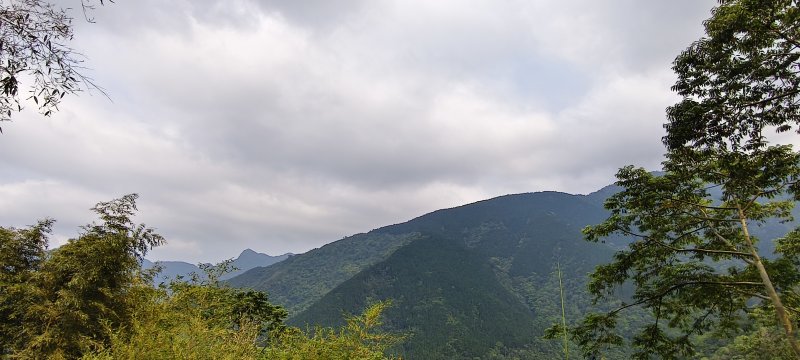 c8208f92362e902957f691957b91cf97.jpg