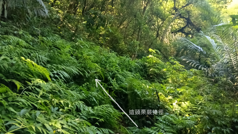 c82e44e6c3176105bfc078519cd55a6e.png