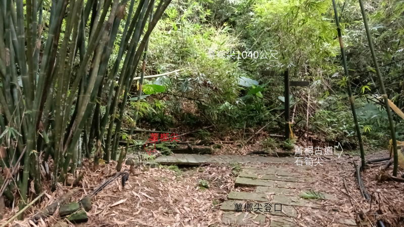 c834ca9f7b699ea6ec9d530f1f1bf1ee.png