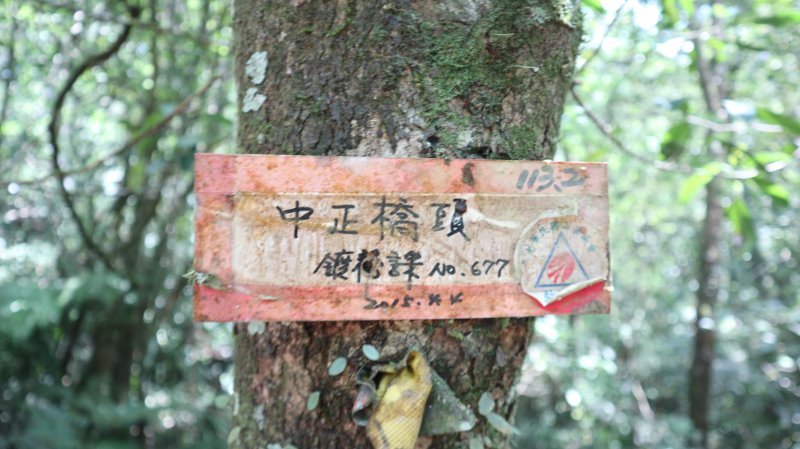 c84142a1bdfcc10a23db5bfebfa732a1.jpg
