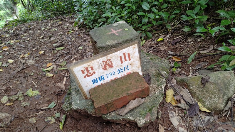 c842039d102e32bdebe072505d15c353.jpg